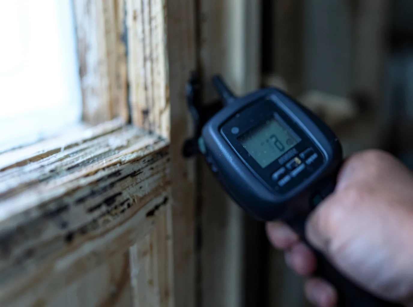 Commercial Water Damage Restoration in Leona, TX